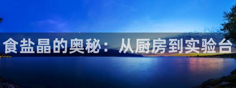 威九国际空降服务怎么样