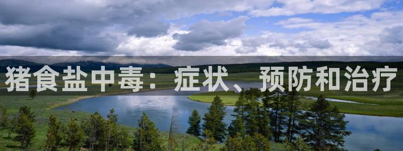 78mapp威九国际官网版