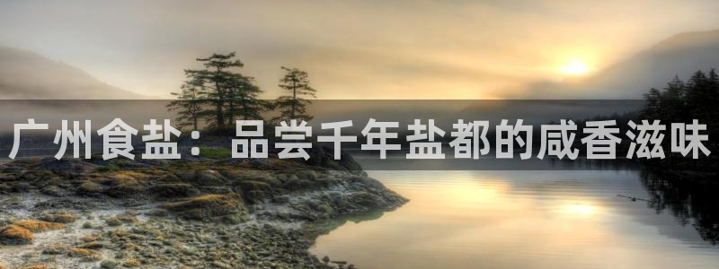 威九国际取款不到账