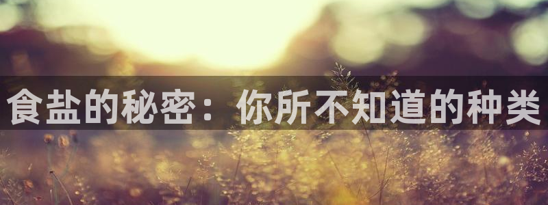 保定威九网络科技有限公司招聘