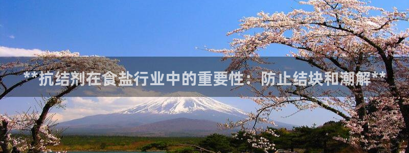 威九国际网站客服电话多少啊