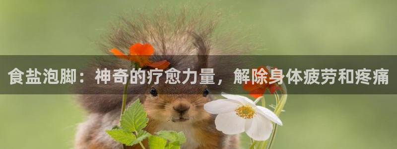 威九国际网站客服电话多少