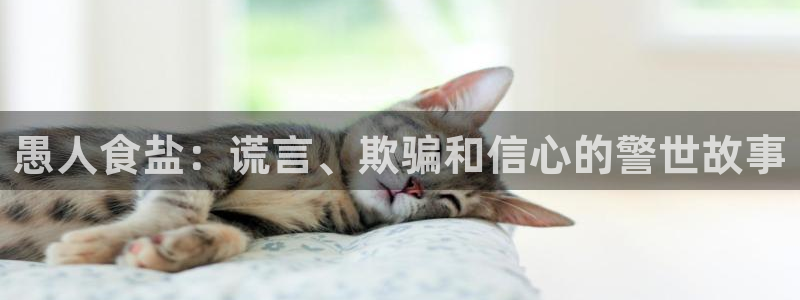 保定威九网络科技有限公司电话
