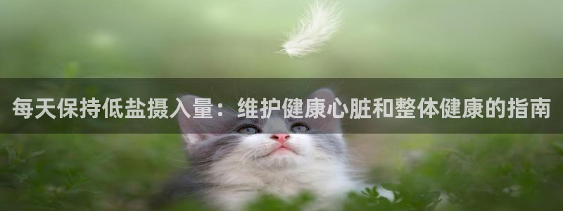 威九国际网站入口官网游戏推荐