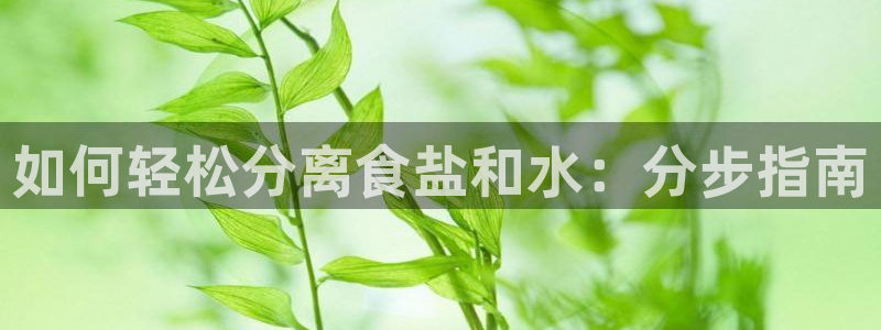 威九国际网站更新了吗