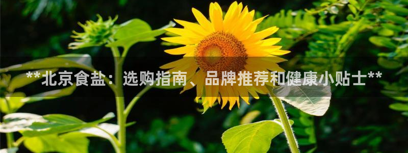 保定威九网络科技有限公司是干嘛的