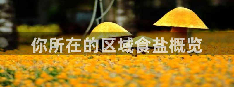 威九国际EVA
