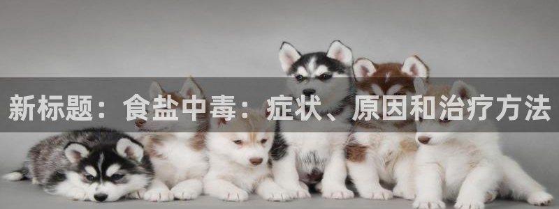 威九国际的女主
