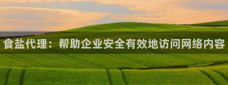 威九国际X8