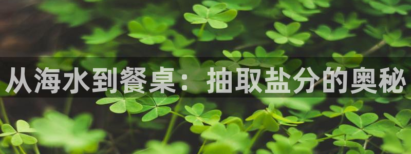 威九国际78mob