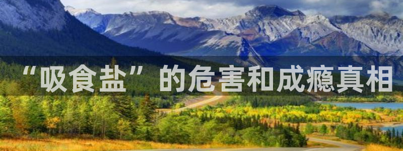 威九国际清砖码