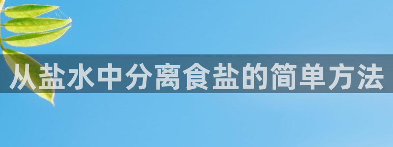 威九国际网站怎么样可靠吗
