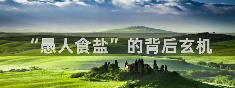 威九国际ppt免费
