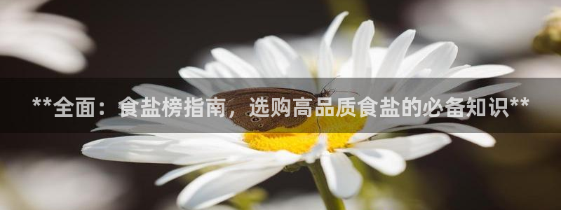 威九国际网站入囗