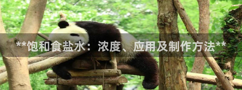 威九国际成长模式