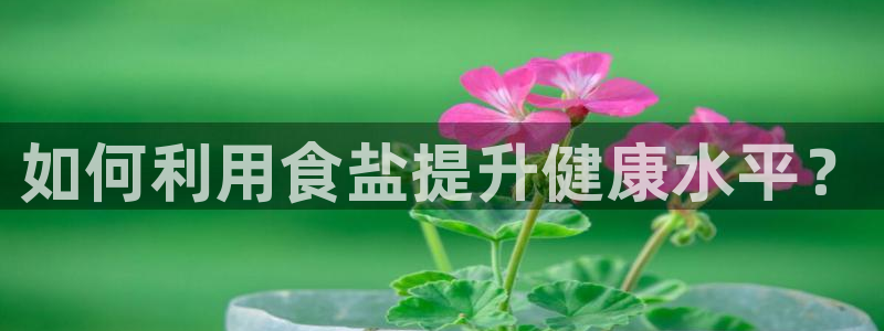 威九国际ppt免费下载