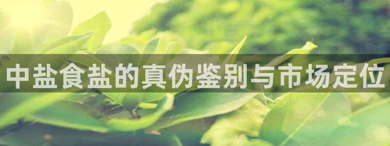 威九国际h5
