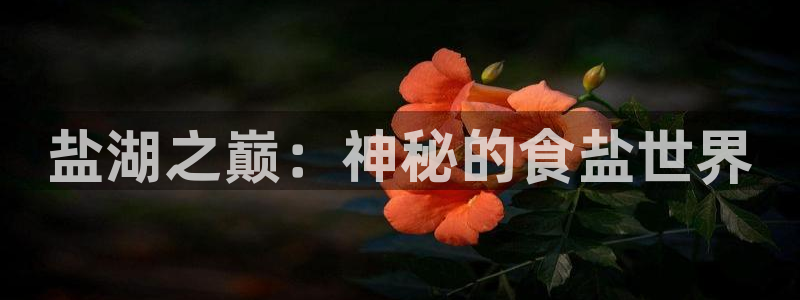 威九国际的网站入口在哪里
