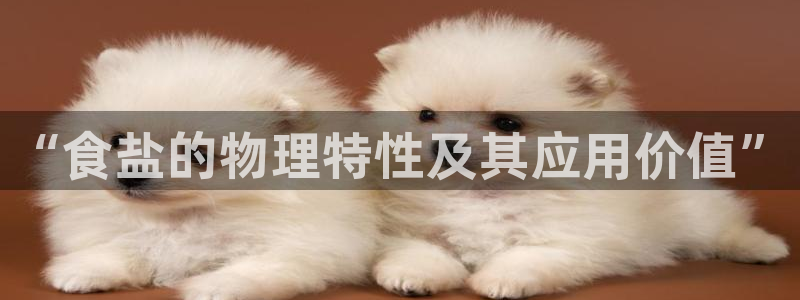 保定威九网络科技有限公司是干嘛的