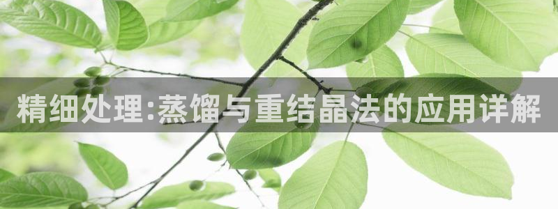 威九国际真人玩家在线对战