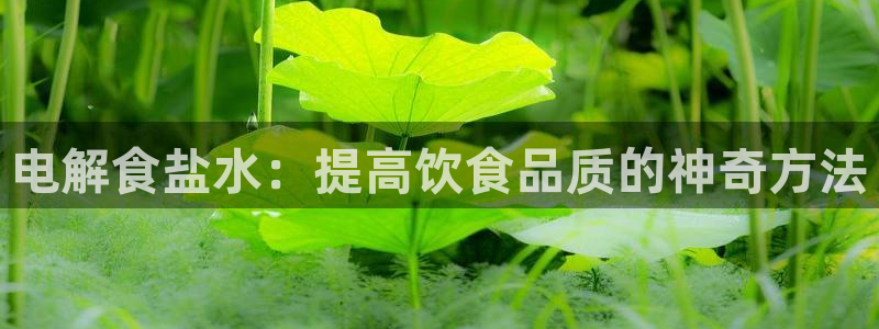威九国际66m免费下载