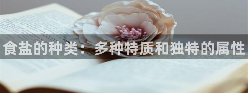 威九国际网站链接怎么打开