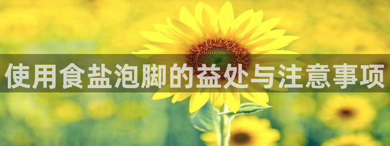 威九国际官方入口官网