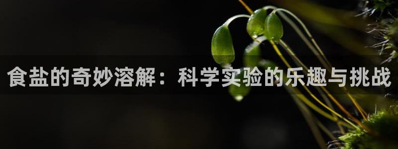 威九国际后爸
