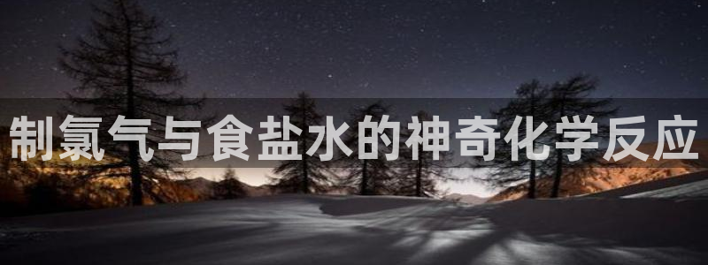 威九国际app哪个地方