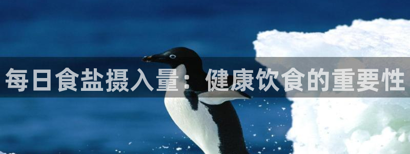 威九国际韩国