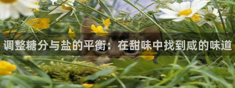 威九国际66m66成长模式免费