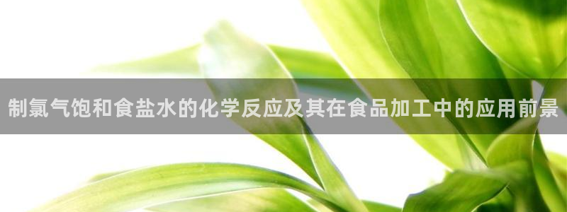 威九国际网站进入(中国)有限公司-官网