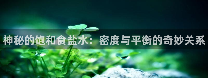 威九国际app哪个地方