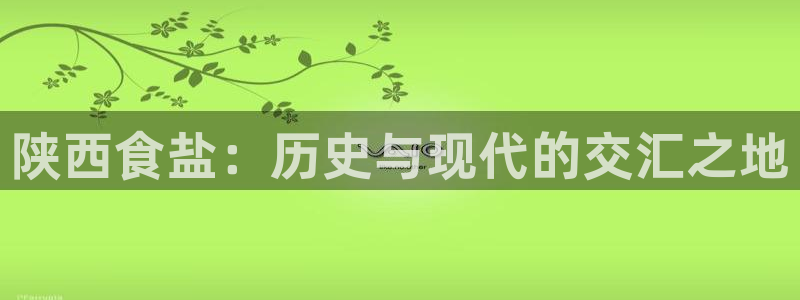 威九国际v9