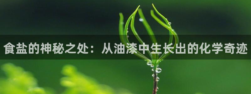 威九国际游戏app(网站)