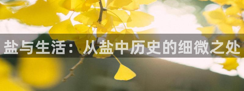 威九国际最新