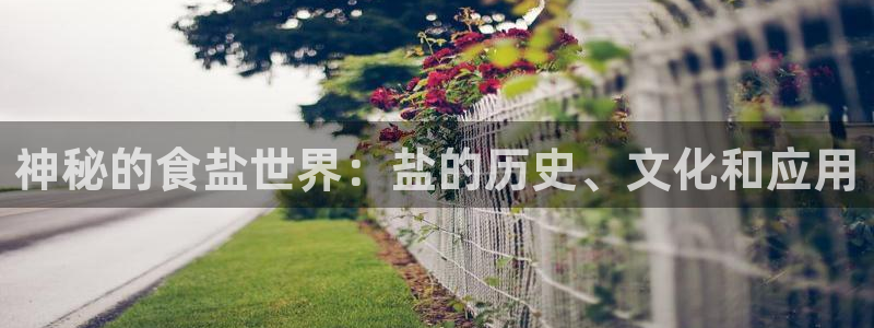 威九国际网站传媒