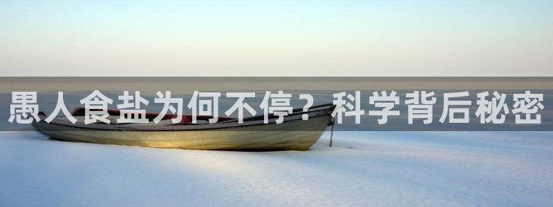威九国际的演员