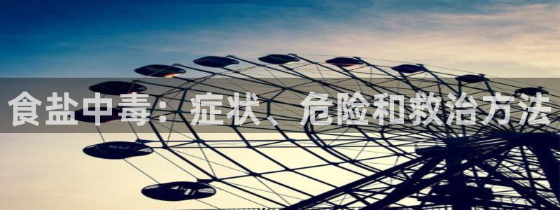威九国际ppt官网