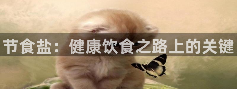 威九国际空降服务女演员叫什么名字