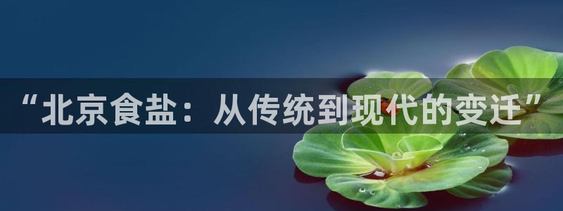 威九国际APP那个地方