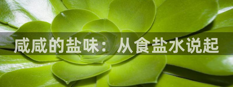 威九国际66m免费版