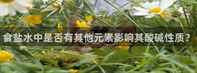 威九国际78m九妹