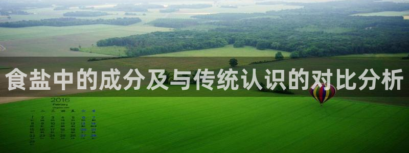 保定威九网络科技有限公司怎么样