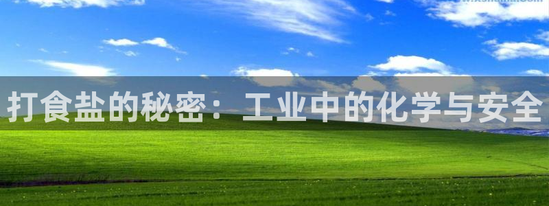 威九国际ppt免费下载网址