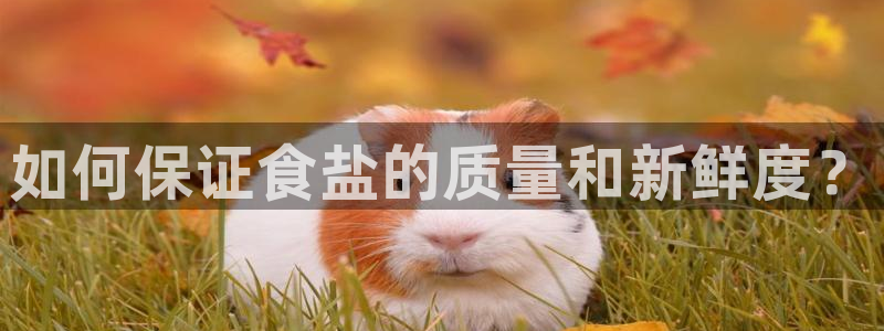 威九国际网站进入AB,AB