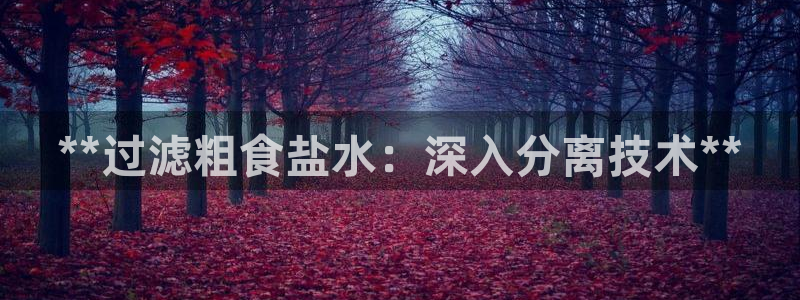 威九国际的网站入口在哪里