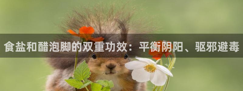 威九国际国精彩片段