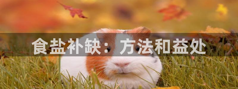 威九国际客服电话号码是多少