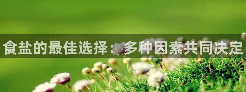 威九国际游戏app网址